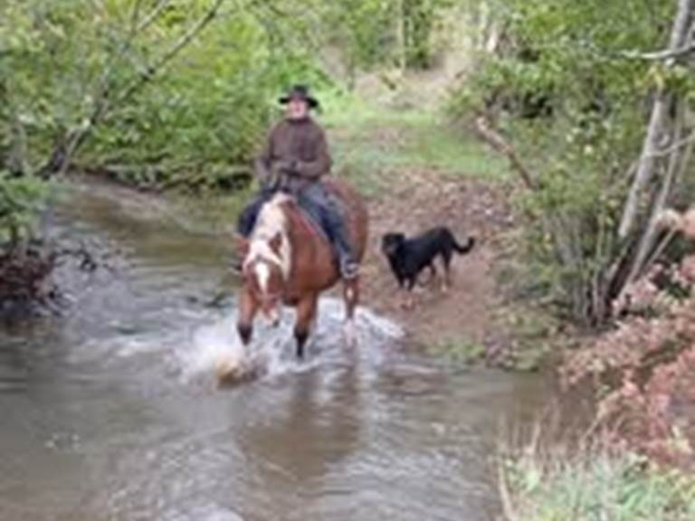 491606045_1214044177390015_517479070286684766_n