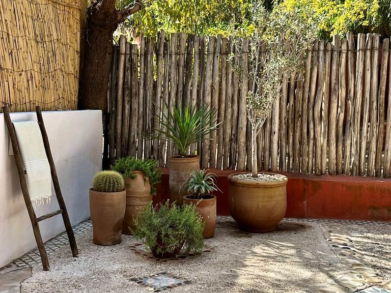 Détails de la terrasse, une véritable collection de plante est installée dans le jardin...