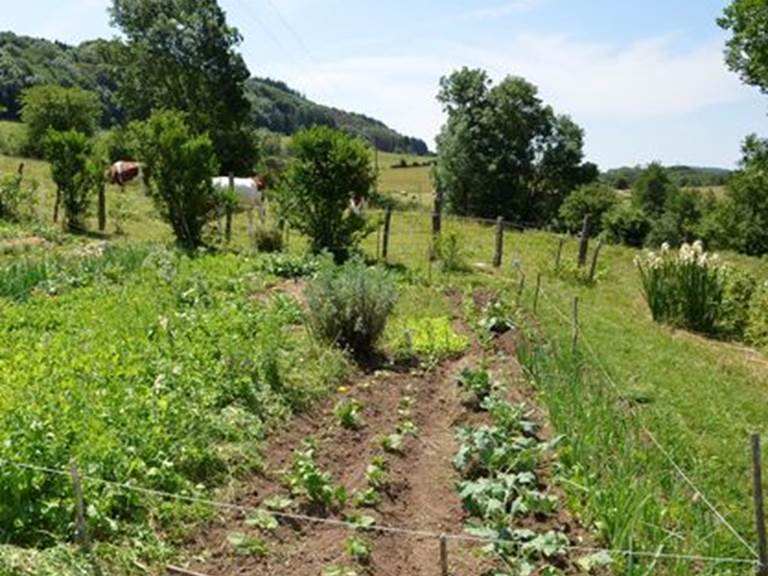 Le potager du gîte sera un lieu de promenade