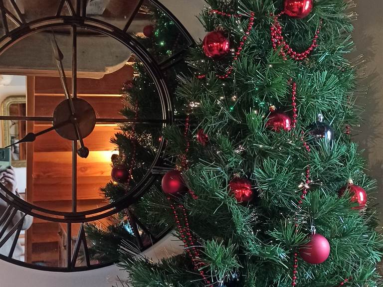 A Noël, on attend les cadeaux au pied du sapin !