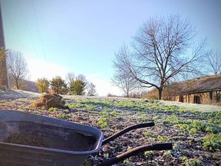 Le jardin en hiver, avant l'arrivée de la neige jurassienne