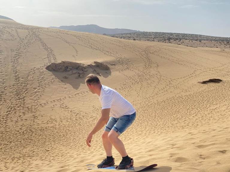 d337cf38-74e0-454c-aceb-a3facec94059