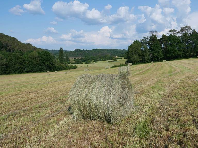 Domaine du champ de l'Hoste - Les prés - Dordogne -