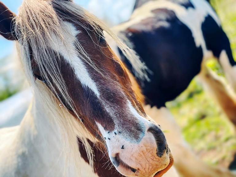 08477856-8fb1-4808-acdb-46c459e41347 (1)