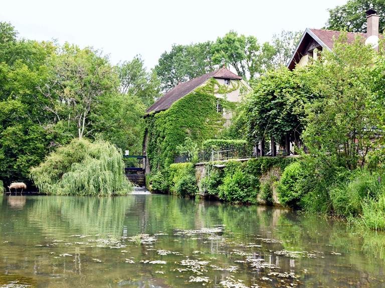 Gîte du Moulin Jancigny 23 éclaricie allégé