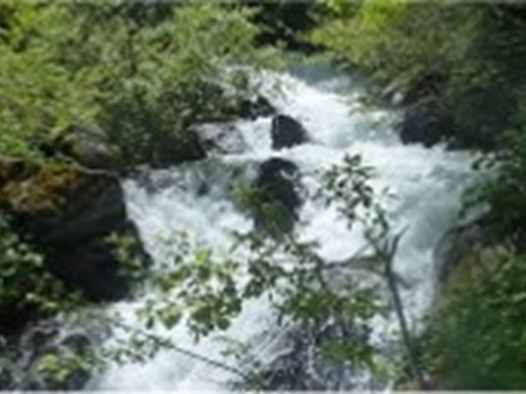 Image1