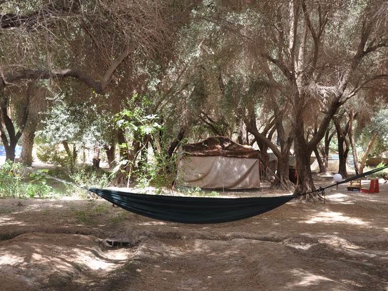 Bivouac sous les palmiers bleus - Repos  tentes berbères ou hamacs