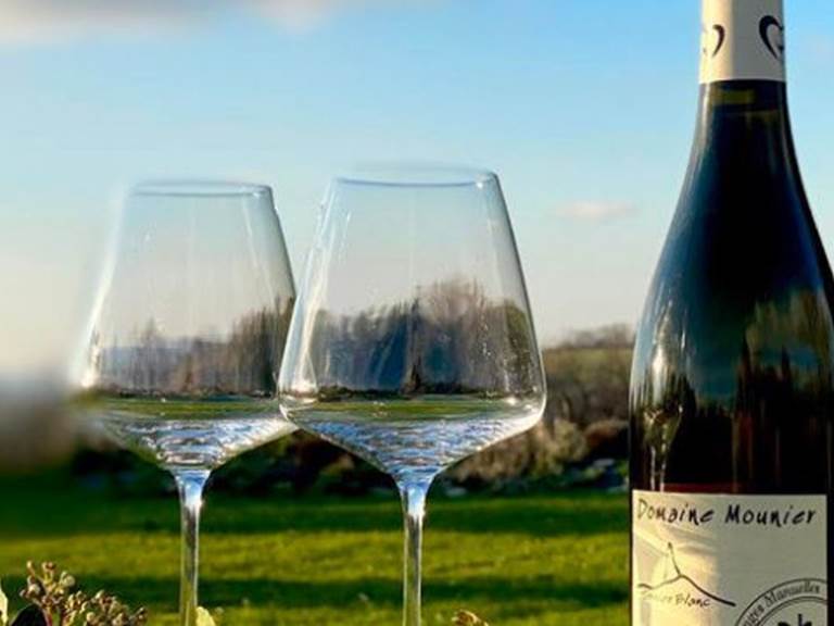 vignobles autour de Nieulle sur Seudre