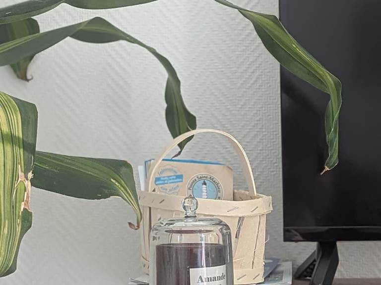 WhatsApp Image 2025-12-01 at 12.12.2