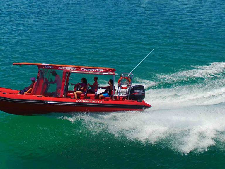 Sans-titre-4-gallery