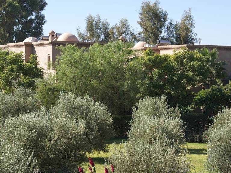 La Kasbah Aâlma d'Or à Marrakech est entourée d'oliviers