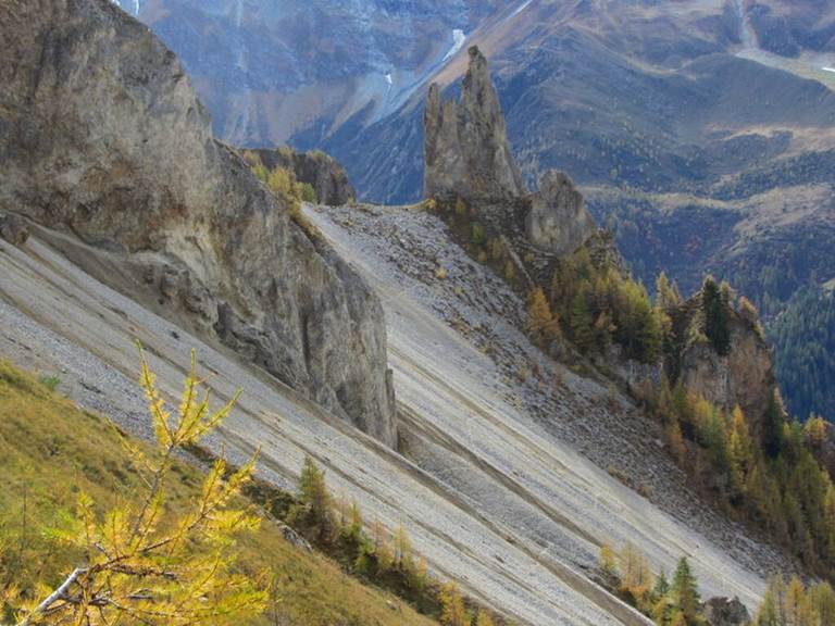 3653413_apidae-fiche-header-big