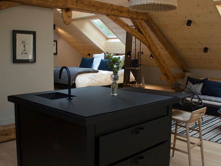 L'annexe 1888 Loft - Cuisine-gallery