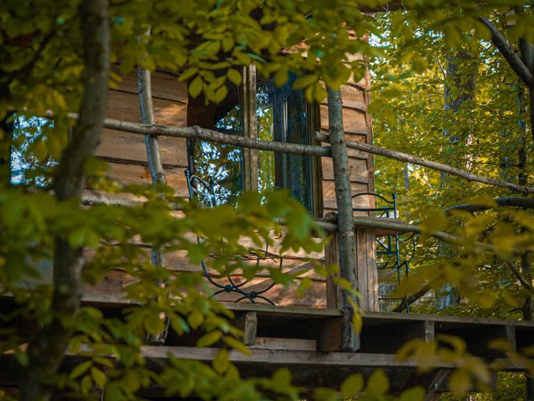 cabane vue de la foret