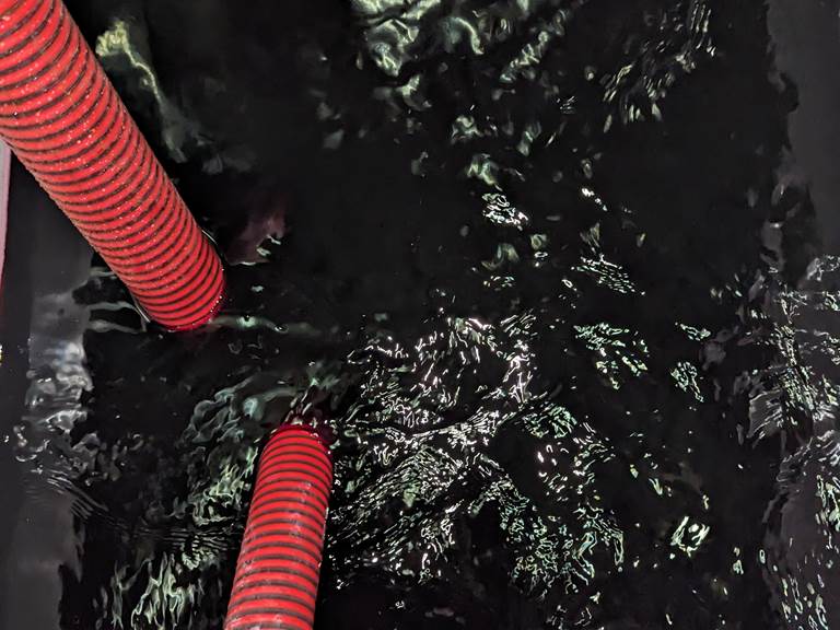 Le 100% Syrah