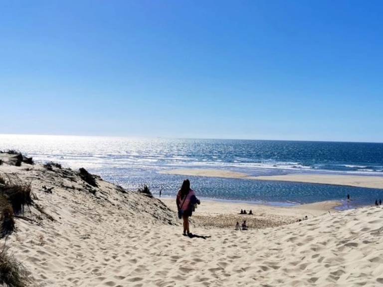 plage de la côte sauvage