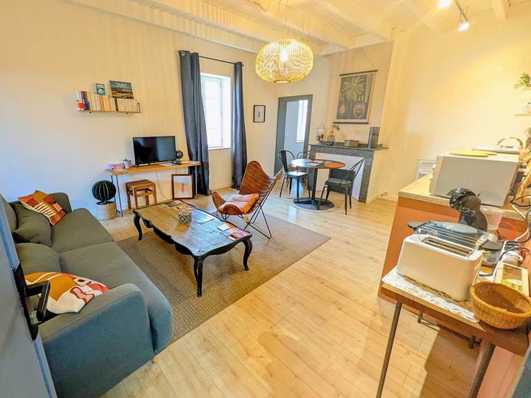 16 bis gite hotel-albi-marssac-salon-vue sur jardin-tv-netflix-appartement