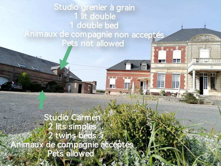 studios animaux