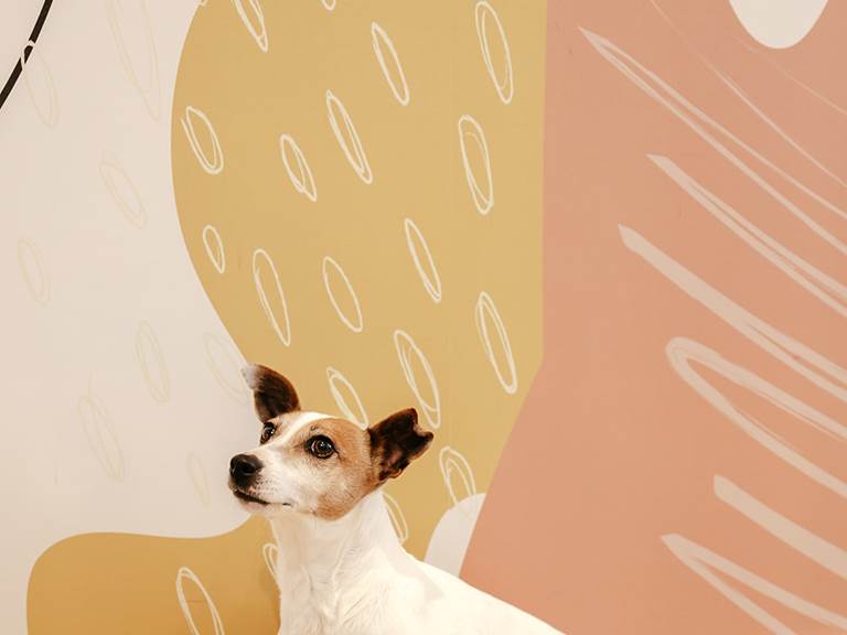 photo piece a vivre (2)