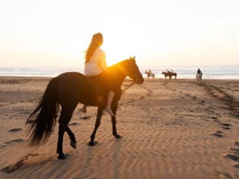 9a2fe0b5-dafc-46c8-aff8-c5337b53cf86