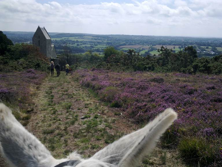 Mont Doville recouvert de bruyère avec visite église