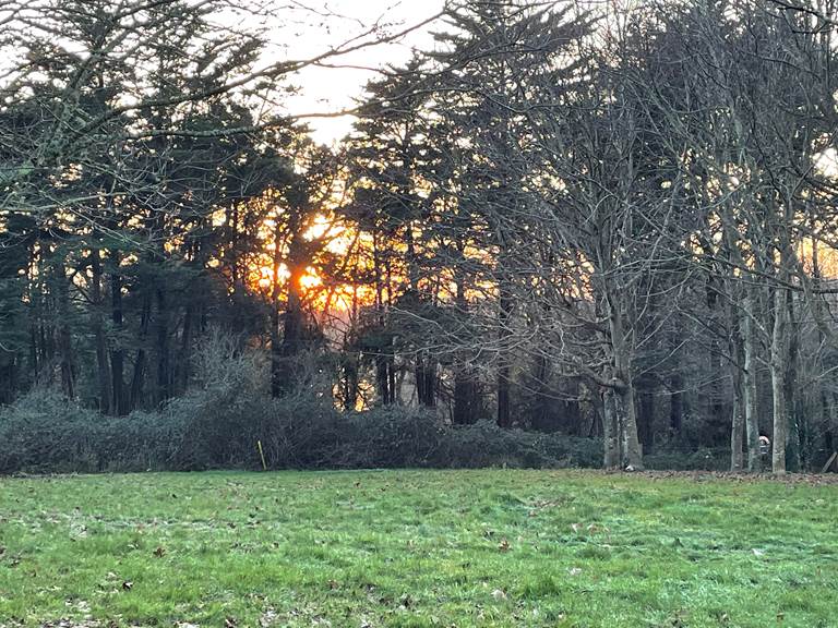 Coucher de soleil sur Etang de Toulvern vu depuis le parc