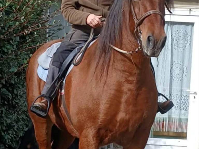 8e251b0c-e3bf-4b59-855d-449ad7944df4