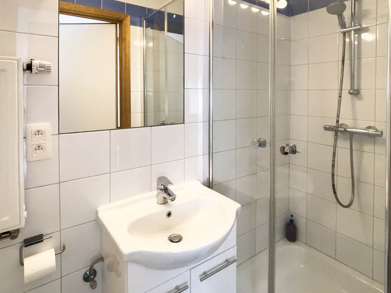 Salle de douche Chambre 1