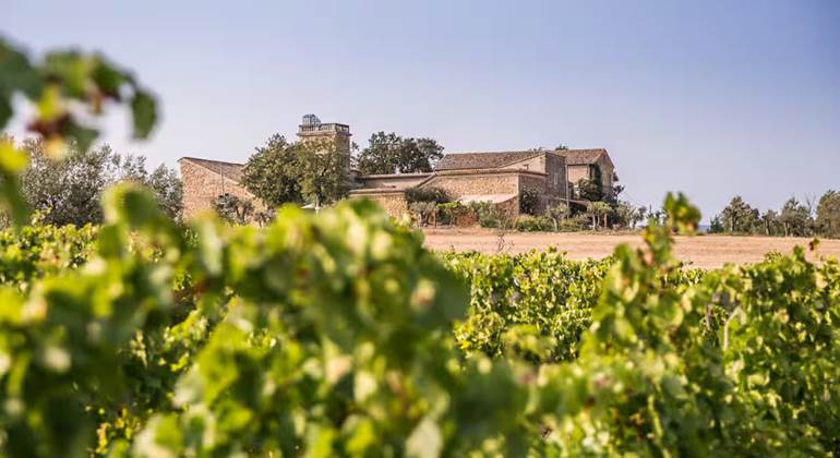Anciennes dépendances rénovées en loft de charme de 110 m² dans l’Hérault