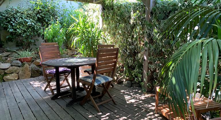 La terrasse est ombragée par une grande glycine