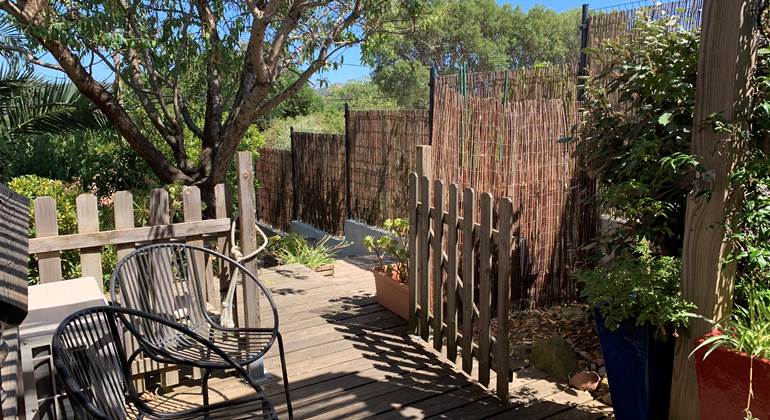 La petite terrasse s'ouvre sur le vieil amandier