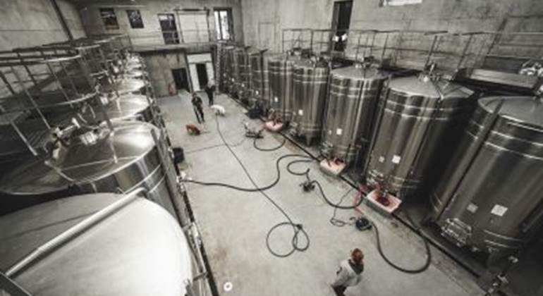 Atelier Découverte de l'élevage, Assemblage et mise en Bouteille
