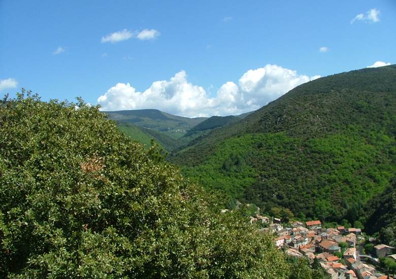 La Montagne noire, à deux pas deRieux-Minervois. Escalade, randonnée, champignons et châtaignes