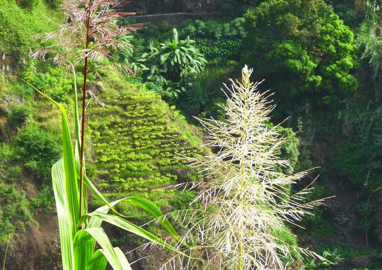 kasa-tambla-hebergement-hotel-ponta-do-sol-santo-antao-cap-vert