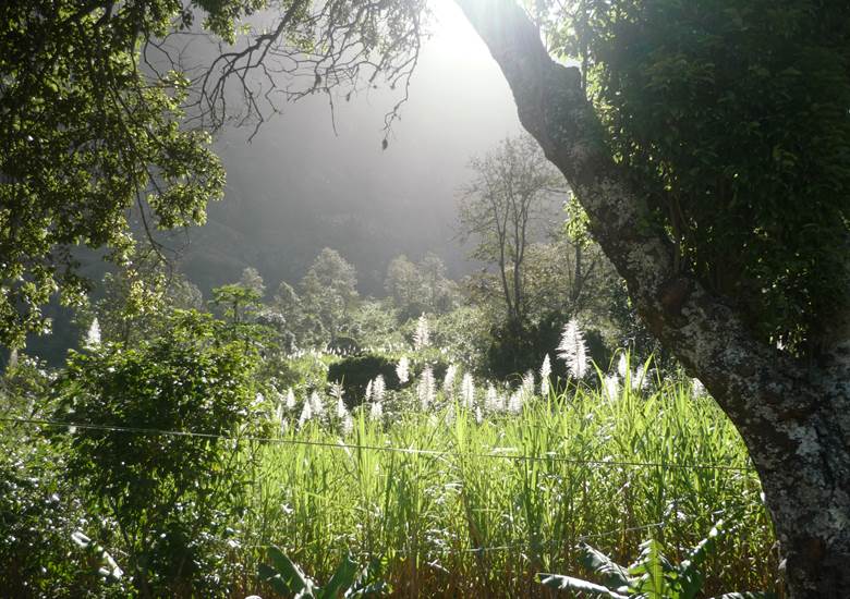 kasa-tambla-hebergement-hotel-ponta-do-sol-santo-antao-cap-vert