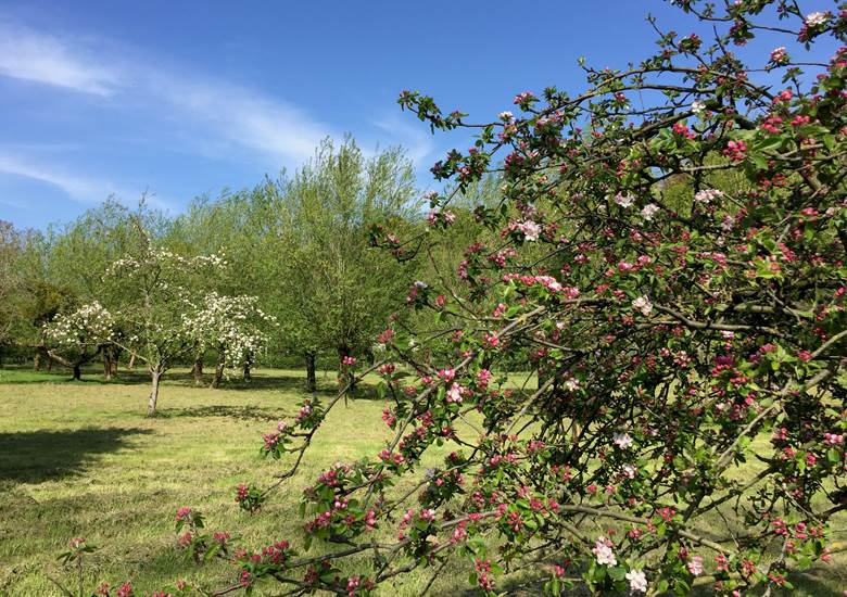 niché dans un hectare de verdure
