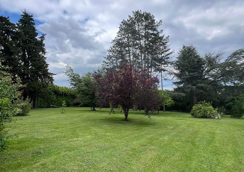 Vue Jardin arboré 2
