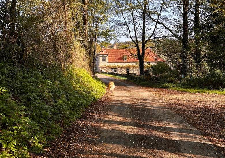Arrive´e au Domaine