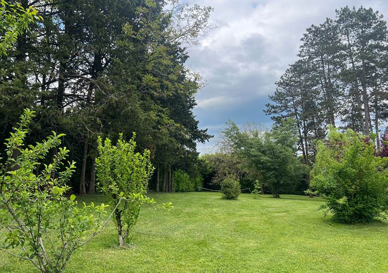 Vue Jardin arboré 5