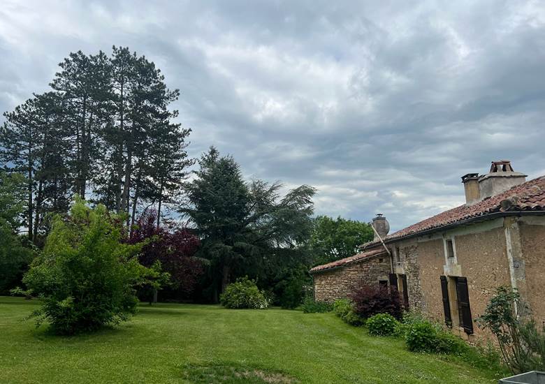 Vue Jardin arboré 4