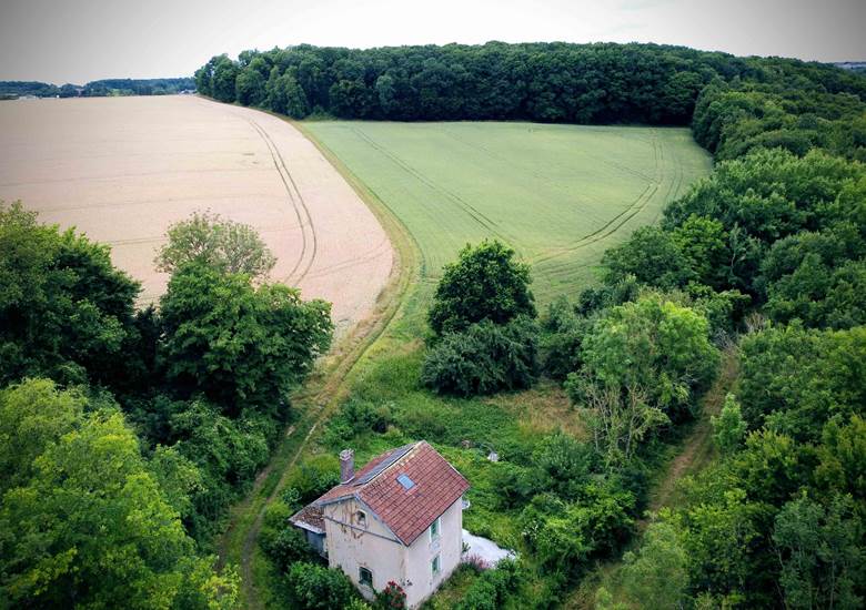 DJI_0028 (1)
