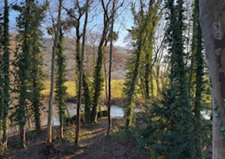 Vue du dôme