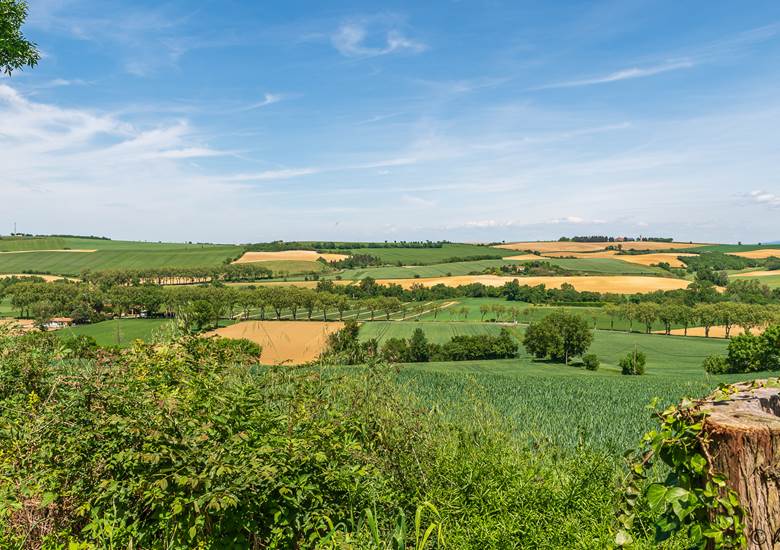 Vue sur les collines depuis la piscine
