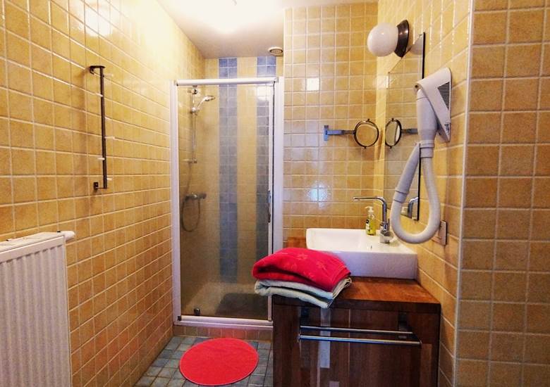 Douche-Lavabo - wc de la chambre Fleurie