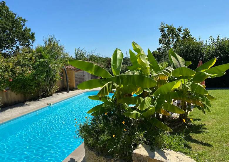 Piscine de 12m en plein soleil