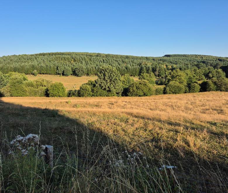 PAYSAGE 4