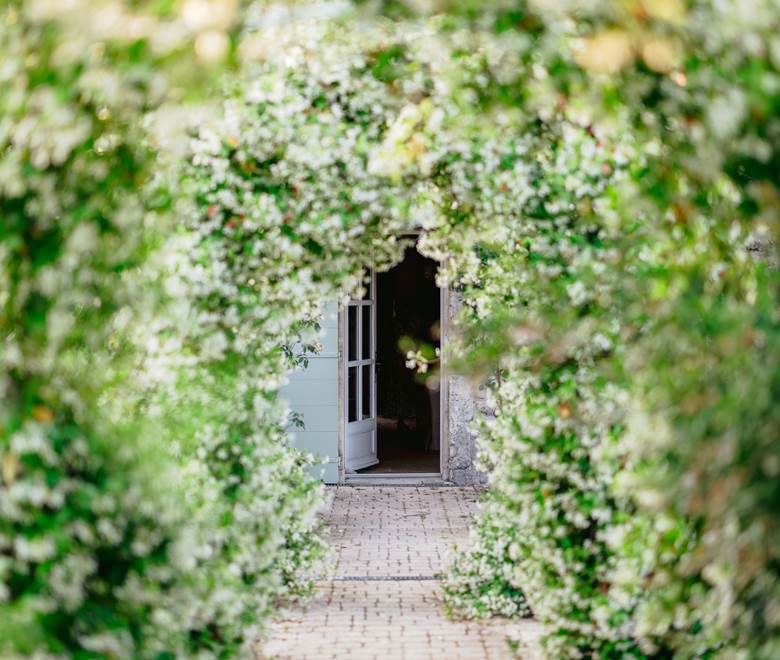 Rosier  envoûtant sous pergolas en fer forgé