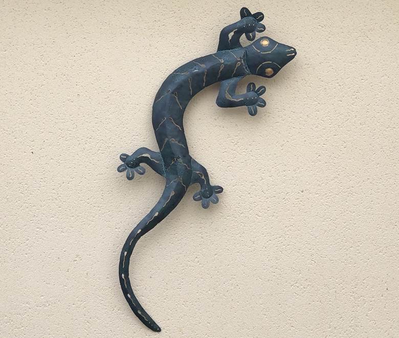 la salamandre dur le mur de la façade