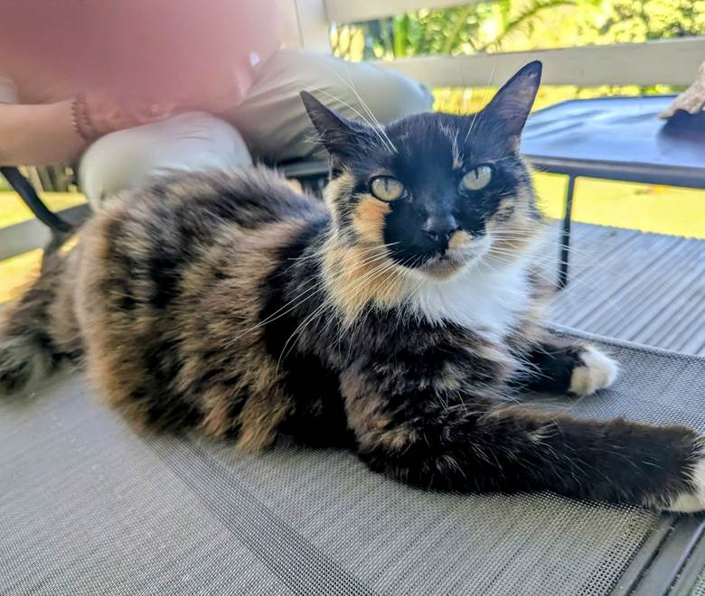 eddd2af4-d3c5-4c6e-923d-d0b29428f020