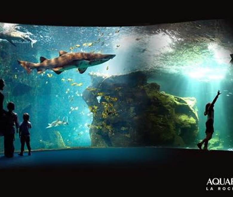 Aquarium de la Rochelle